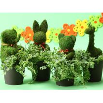 animal topiary plants to japan