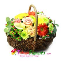 send natural basket orange to tokyo japan