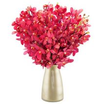 send 12 red orchids to japan