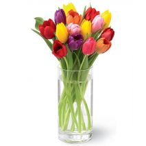 send 12 mix color tulips to japan