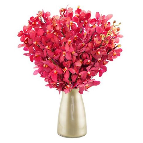 send 12 red orchids to japan