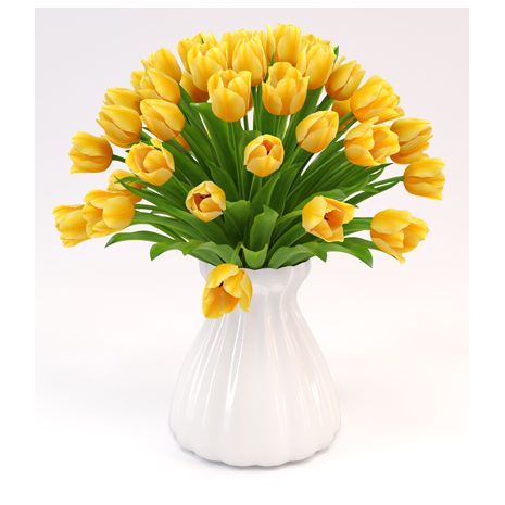 send 24 yellow tulips in vase to japan