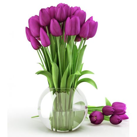send 12 purple color tulips to japan