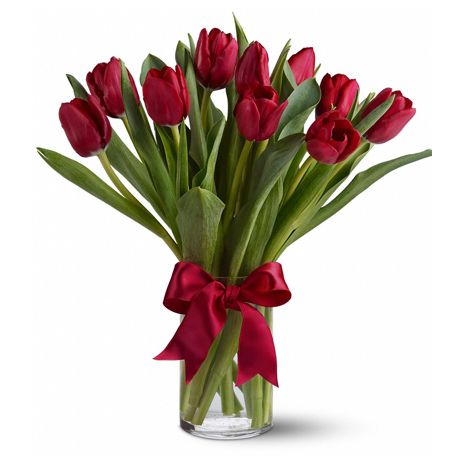 send radiantly red tulips to japan